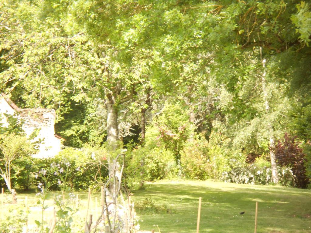 B&B La Ferme Des Bordes Pontlevoy Екстер'єр фото