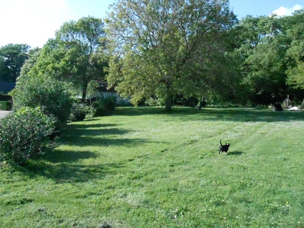B&B La Ferme Des Bordes Pontlevoy Екстер'єр фото