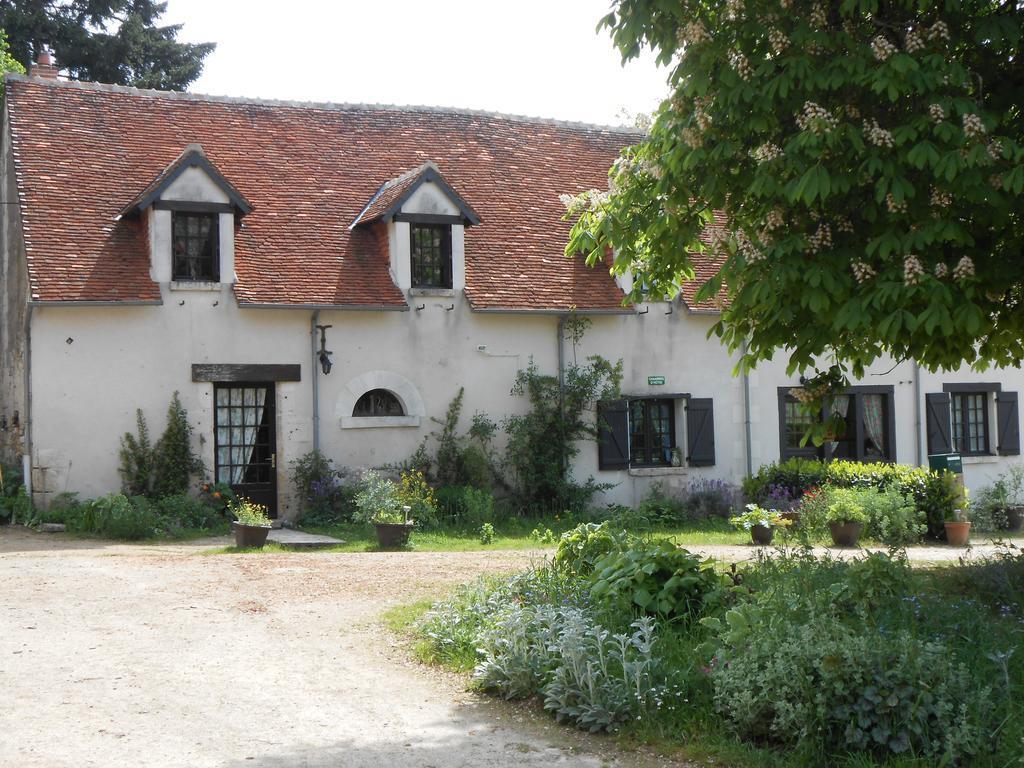 B&B La Ferme Des Bordes Pontlevoy Екстер'єр фото